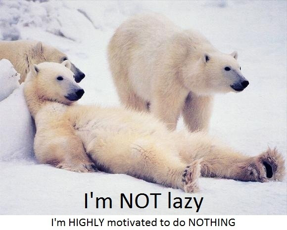 I'm Not Lazy - I'm Just Highly Motivated To Do Nothing